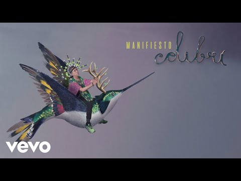Video thumbnail for Manifesto Colibrí