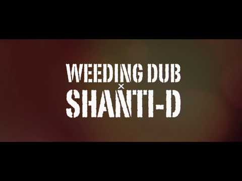 Weeding Dub - Can't Understand feat. Shanti D
