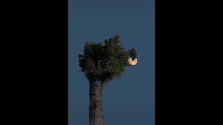 Download lagu story wa aesthetic lagu barat viral tiktok mp3 Download lagu story wa aesthetic lagu barat viral tiktok mp3