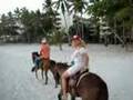 riding horse at the beach