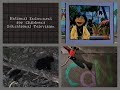 PTV Park Program Break 1997 WNET 3