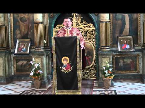 20130325 Buna Vestire cuvant Pr Ovidiu Pop mp4 1080p