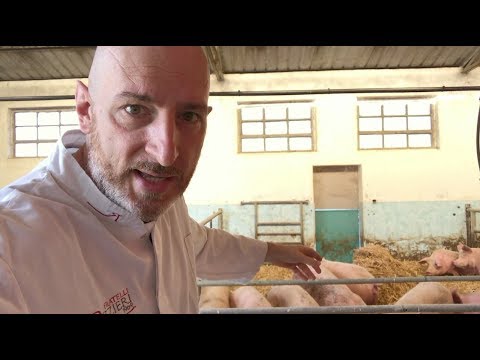 Se perdere appesantono un petto sarà stretto Il film dove cresco magro