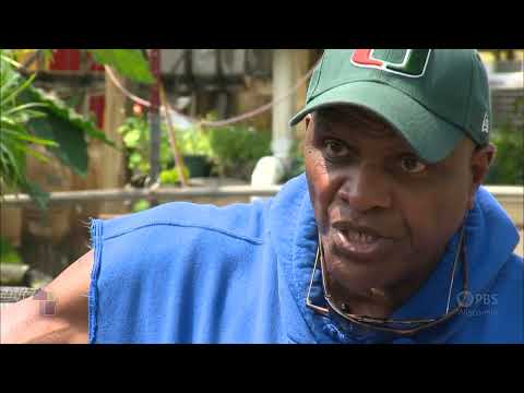 Wisconsin Life | Will Allen