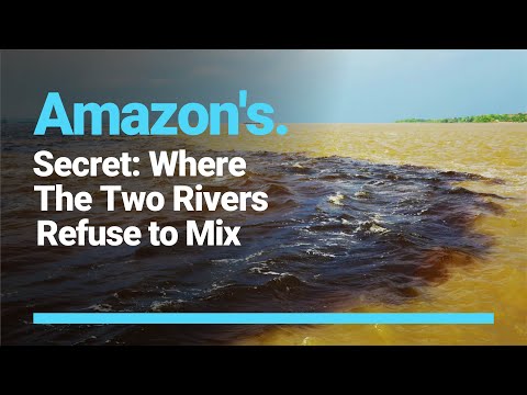 Unveiling the Amazon's Meeting of the Waters: Solimões River vs Rio Negro