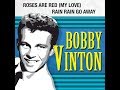 Bobby Vinton - Rain, Rain Go Away (1962) Lyrics