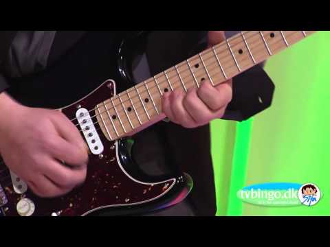 Vildkat - Sonny Møller - 2016