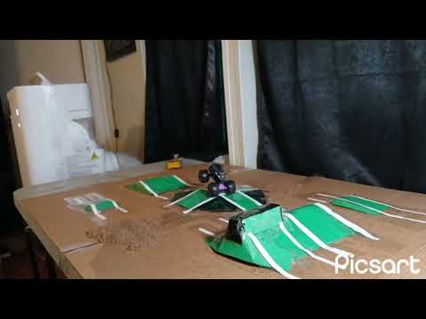 Black panther Stadium Freestyle 