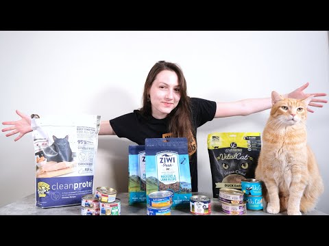 Top 10 Best Cat Foods (We Tried Them)