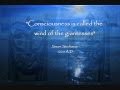 Which Vanir Goddess Wore The Necklace Of Brisingamen