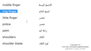 تعلم كلمات اللغة الانجليزية الدرس 39 اعضاء جسم الانسان بالانجليزي الجزء 4