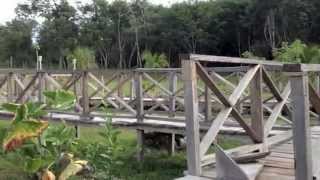 preview picture of video 'Hidden Bush House in Progresso Village, Corozal District, Belize'