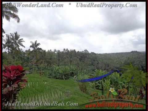1.000 m2 Lahan view sawah gunung dan tebing di Ubud TJUB424 1.000 m2 Lahan view sawah gunung dan tebing di Ubud TJUB424
