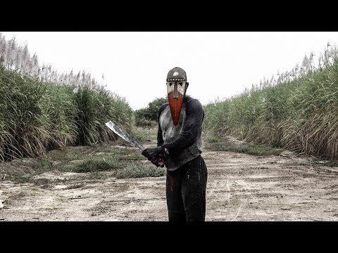 PARCELLES.S7 | trailer