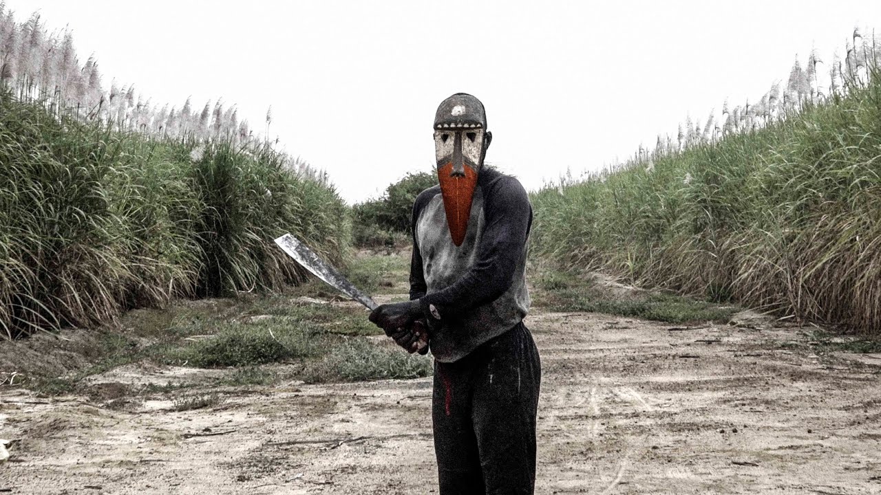 PARCELLES.S7 | trailer