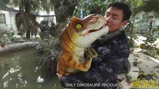He Has a Baby Dinosaur As a Pet