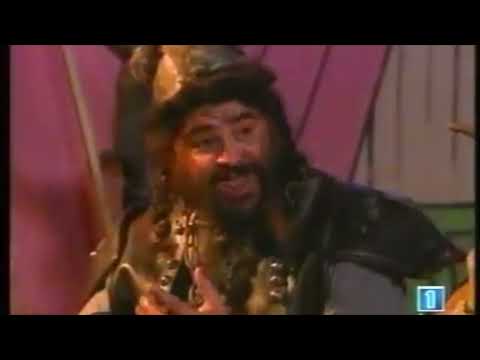 VIKY EL VIKINGO