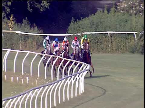 Galoppo 07/08/2019 - 1ª corsa