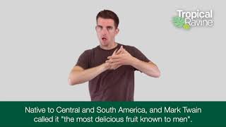 Custard Apple British Sign Language 2