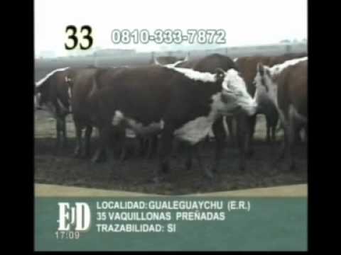 Lote 33 - Remate en Vivo