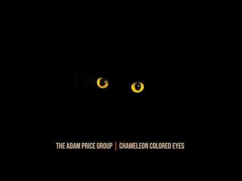 Chameleon Colored Eyes (single version) - The Adam Price Group