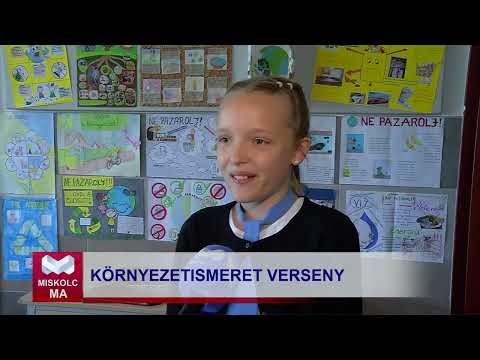 Videó előnézet