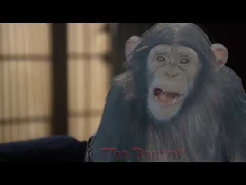 Steam Community :: Video :: You're a chimp with a machine gun, Jimmy!