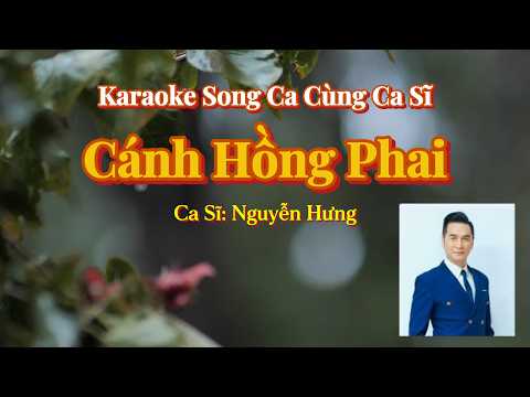 77. Cánh Hồng Phai