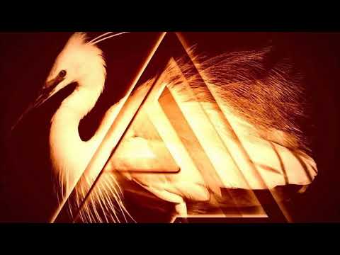 Rhekluse x AMBIENT LIGHT - WHITENOISE