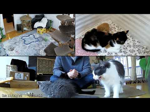 Mailbag 2020-11-28: The One Where FRIENDS Titles are Getting Old