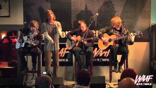 Cage the Elephant - Back Against the Wall (acoustic)