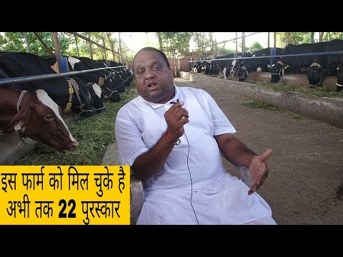 download lagu mp3 mp4 Cow Tabela Project In Gujarat, download lagu Cow Tabela Project In Gujarat gratis, unduh video klip Cow Tabela Project In Gujarat