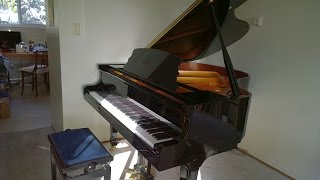 Ritmuller GH-160R baby grand piano sounds, Lid DOWN, muddying it