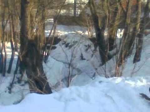 Avioanele din scorteni 9.01.2013