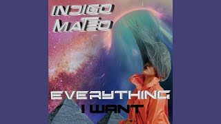 Everything I Want Music Video