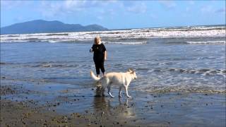 preview picture of video 'NZ Story: Today @ Te Horo Beach'