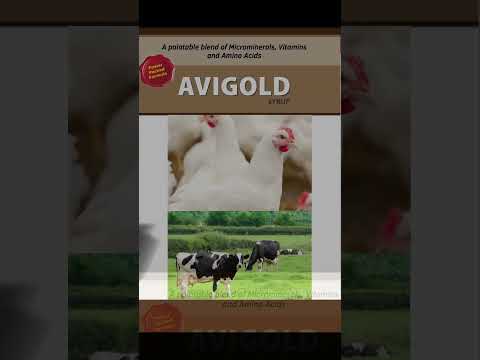 Avigold syrup premium micronutrient & amino acid supplement ...