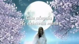 Dulce Pontes - Lagrima