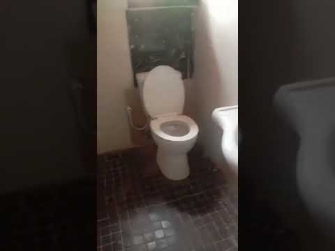 1-Bedroom Apartment for Rent at Olu Adebayo Close, Oke Afa, Isolo