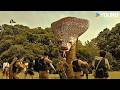 King Cobra Vs Ancient T Rex Who Would Win Jurassic Revival YOUKU MONSTER MOVIE