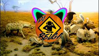 Selvageria 13 _Dj Belga