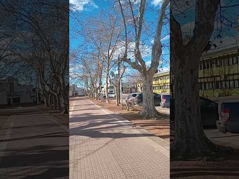 Sonido de la naturaleza!! Plaza Independencia, Carmen de Areco,  Buenos Aires..