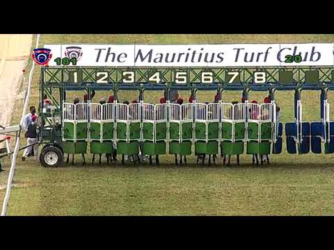 RM18 R1 | Dealer's Charm | D.David