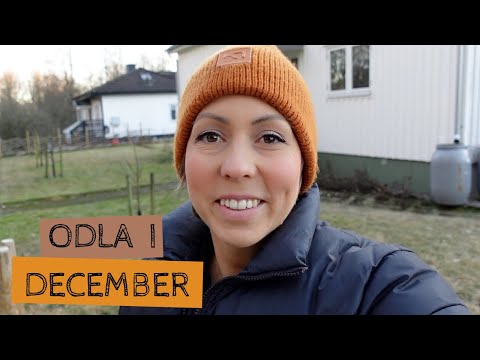 Odla i DECEMBER - Vila och förberedelse inför ett nytt odlingsår 2026!