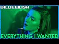 quot everything i wanted quot Billie Eilish Co