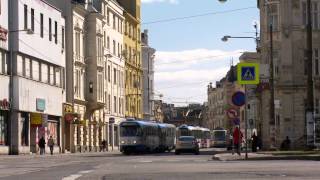 NEVER COME BACK (Czech version)