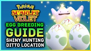 Pokemon Scarlett and Violet - Egg Breeding Guide! Shiny Hunting, Ditto Location & Masuda Farming