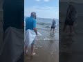 Guy catches 6-8ft great white shark off shore on old orchard beach