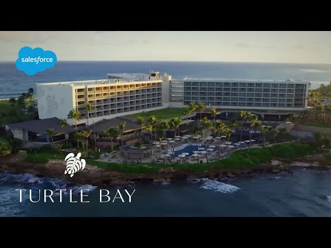 Turtle Bay Elevates Hospitality With Einstein 1 Service | Salesforce