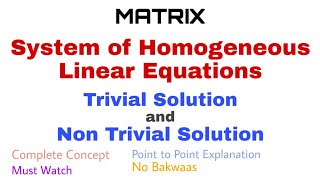 25. System of Homogeneous Linear Equations | Trivial and Non Trivial Solution | Complete Concept